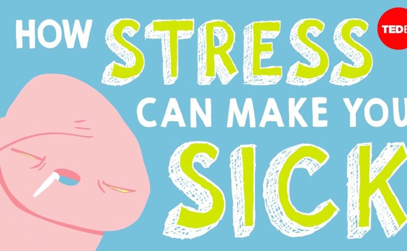 How stress affects your body – Sharon Horesh Bergquist