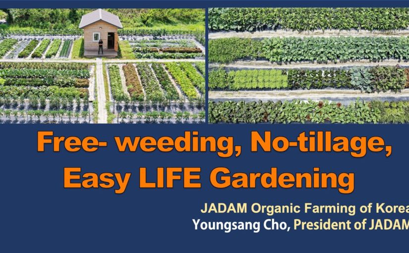Free- weeding, No-tillage, Easy LIFE Gardening by JADAM