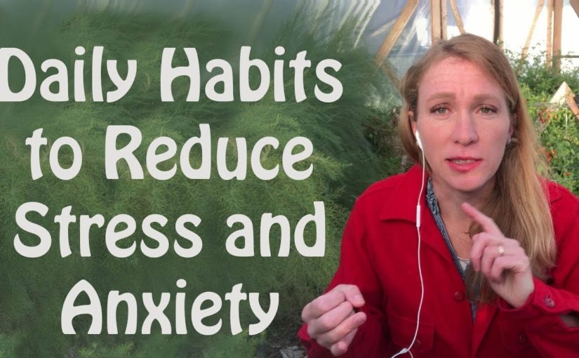 Daily Habits to Reduce Stress and Anxiety