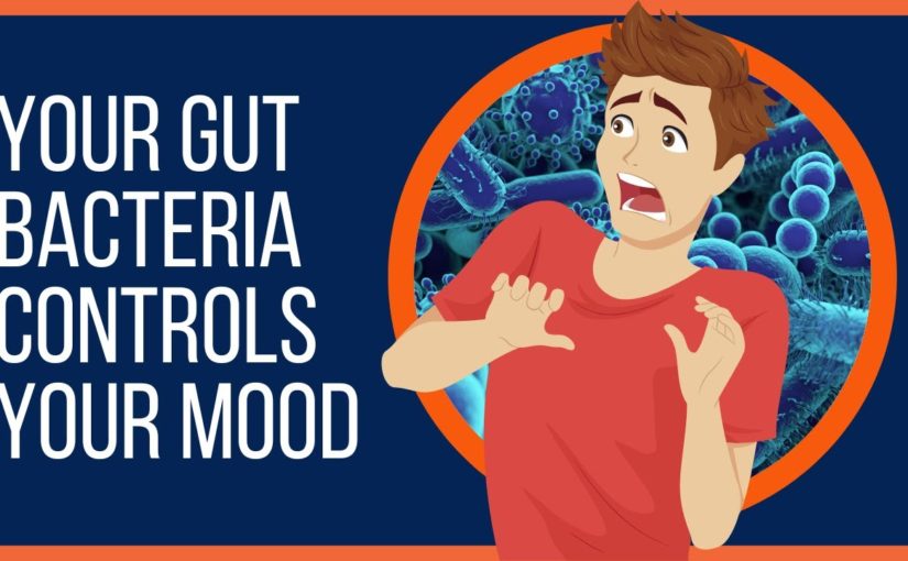 How Your Gut Bacteria Controls Your Mood