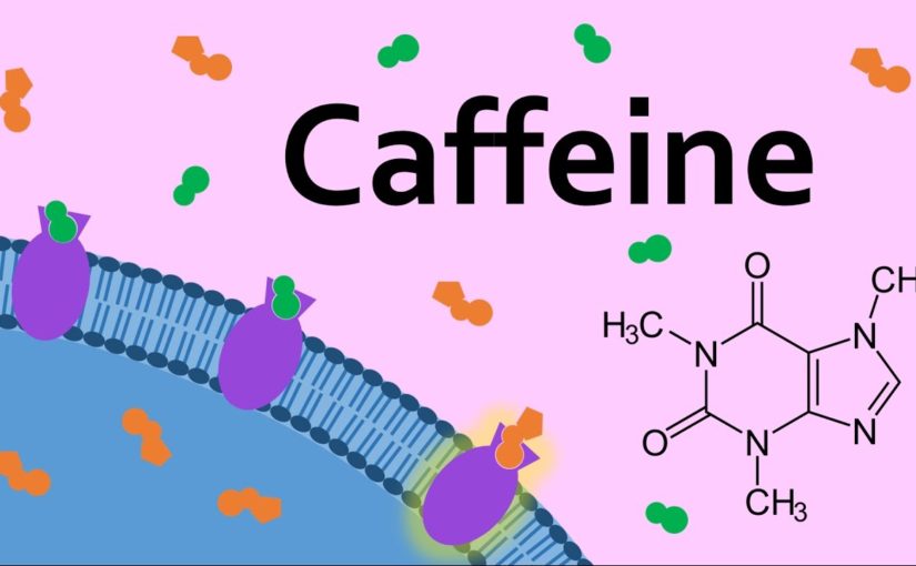 Caffeine and Adenosine Receptors