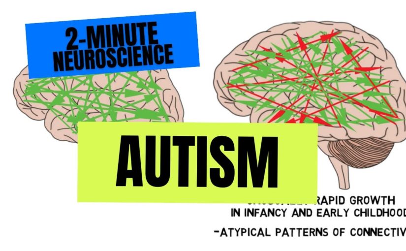 2-Minute Neuroscience: Autism