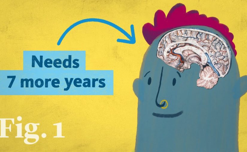 Turning 18 doesn’t make you an adult — according to neuroscience